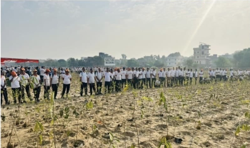 Bosque en India/ Newsonair.gov