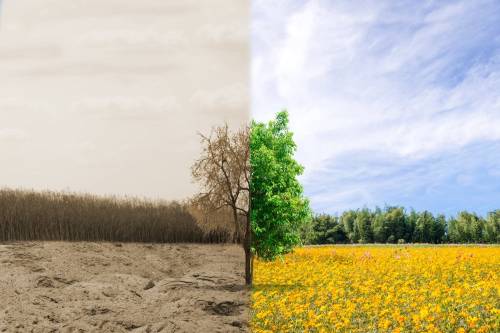 Todo sobre la salud ambiental y su importancia para el planeta