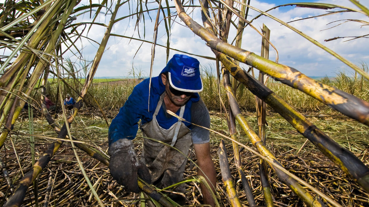 Brasil 200422 a Brasil 200422 a