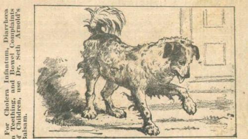 UBKOMUAVEJAWNMK66FP5GT65VM UBKOMUAVEJAWNMK66FP5GT65VM