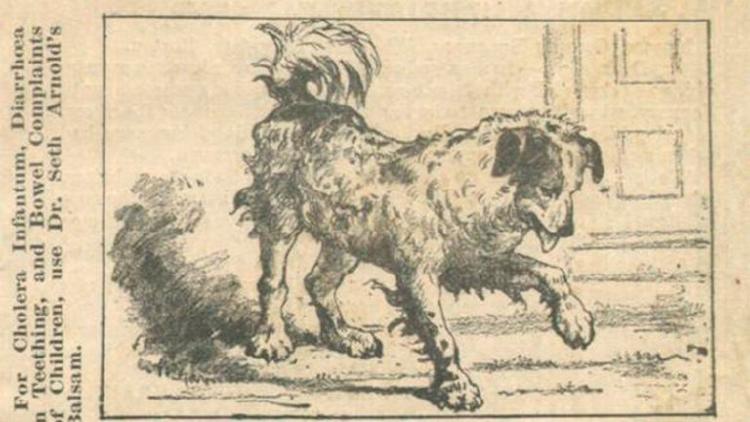 UBKOMUAVEJAWNMK66FP5GT65VM UBKOMUAVEJAWNMK66FP5GT65VM