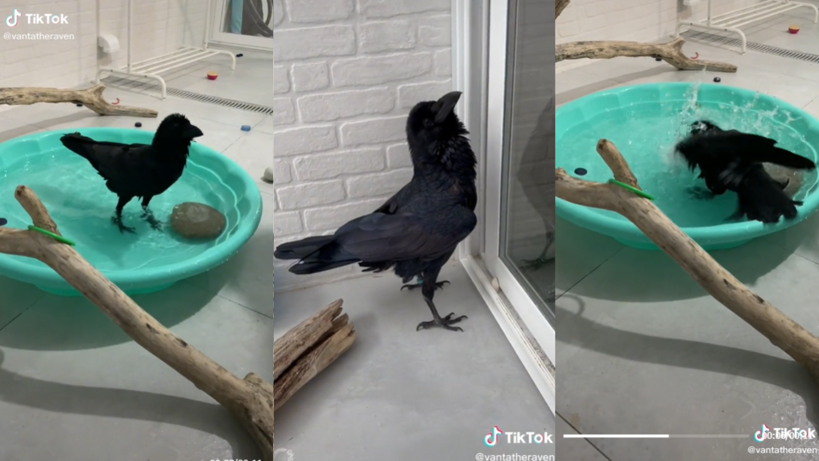 _portada bioguia (39) _portada bioguia (39)