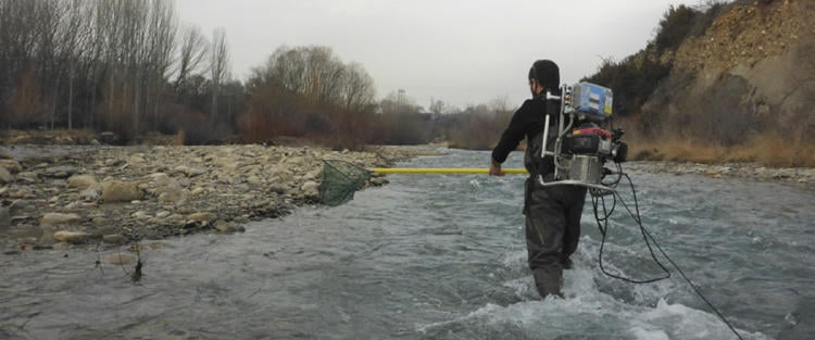 pesca electrica2 pesca electrica2