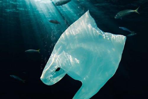 plastico Los plásticos de un solo uso —como bolsas, sorbetes, cubiertos y envases descartables— representan uno de los mayores desafíos ambientales. (Pinterest)