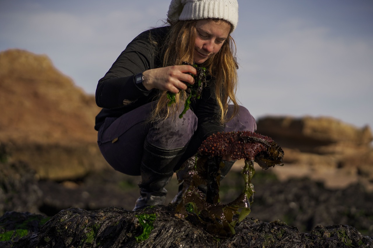 WhatsApp_Image_2022-03-16_at_3.47.49_PM WhatsApp_Image_2022-03-16_at_3.47.49_PM.jpeg