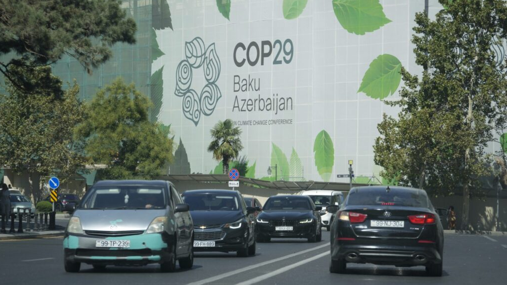 COP29