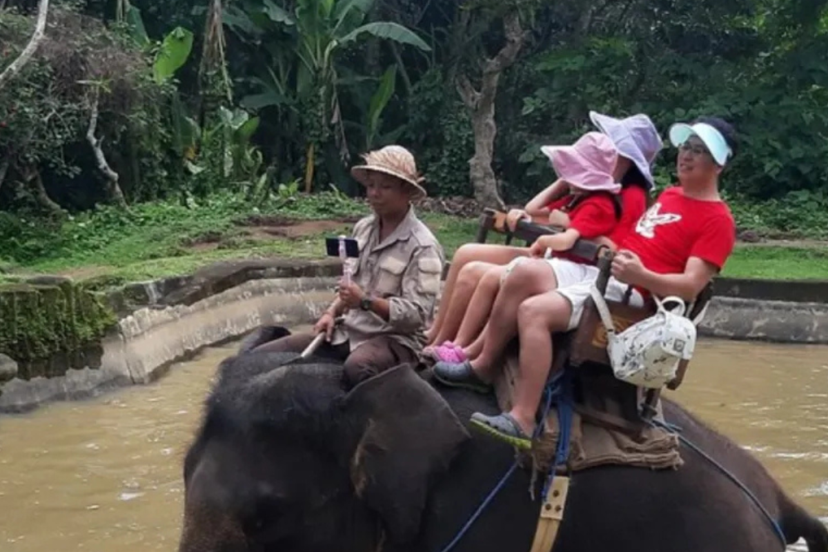 Imagen: ecoosfera.com