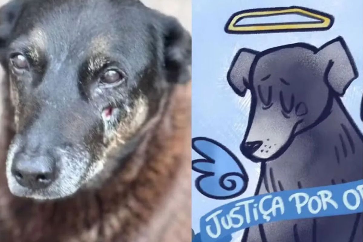 Fuente: www.diariouno.com.ar