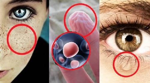 7 cosas asquerosas que están pasándole a tu cuerpo ahora mismo