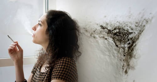 Contaminación puertas adentro: ¿qué tan limpio es el aire de tu hogar?