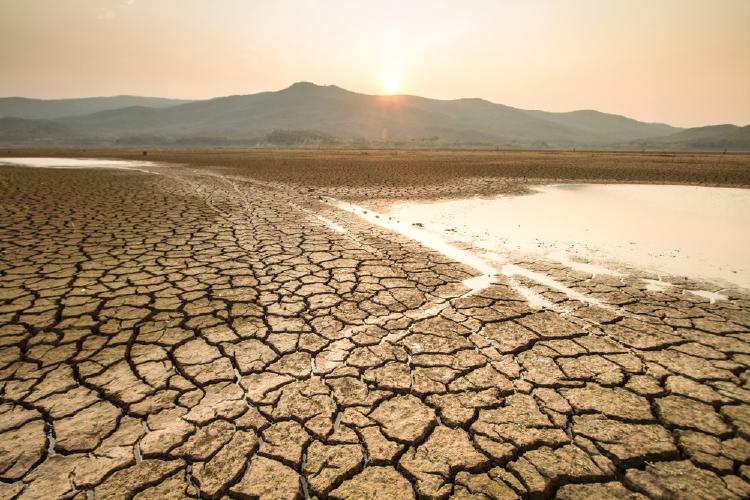 cambio climático