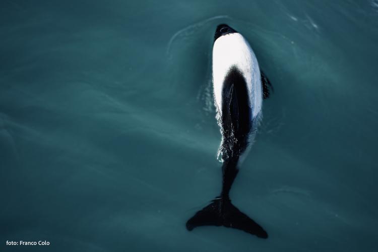 © Foto 05 © Foto 05