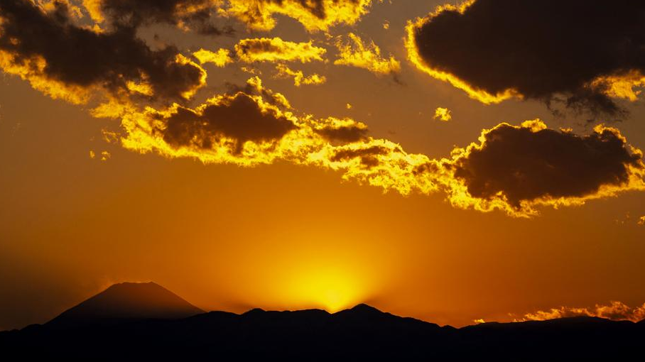 60880713_1004 60880713_1004