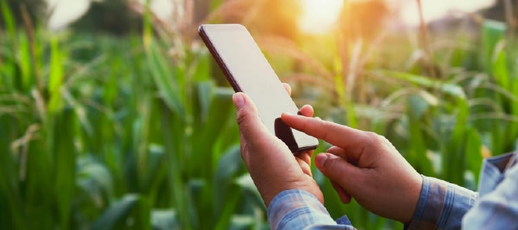 comunicacion-responsable comunicacion-responsable