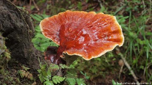 63757066_303 63757066_303