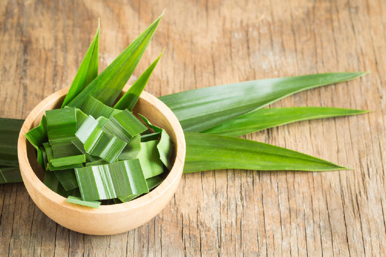 pandan Pandan