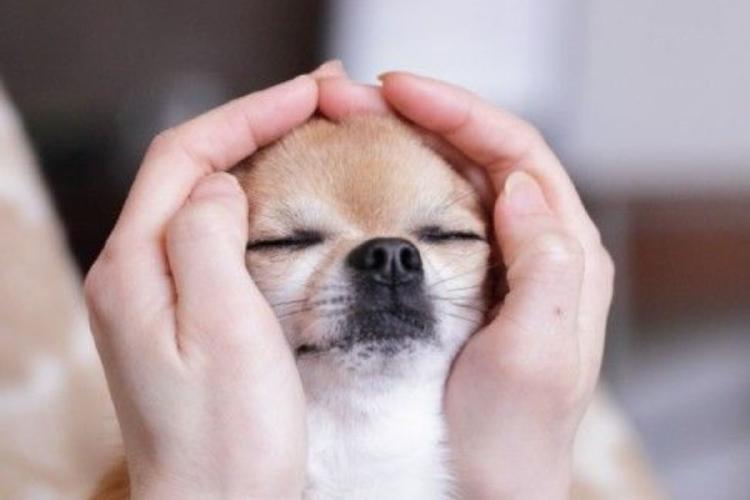 Diseño sin título 2024 10 22T195356.830 Diseño sin título 2024 10 22T195356.830