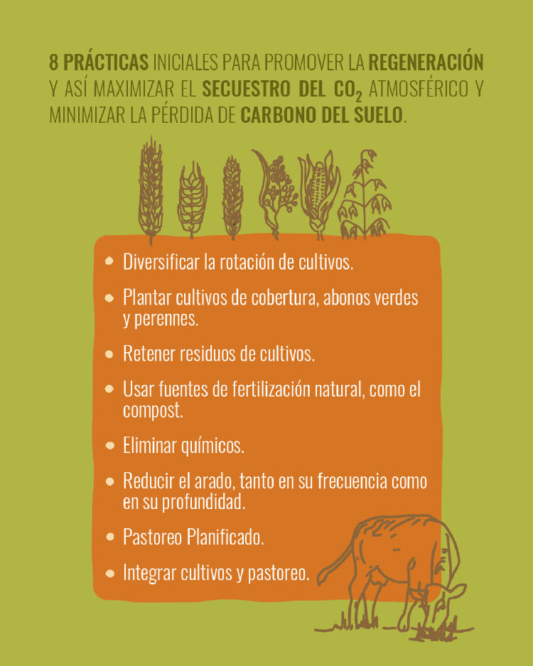 02 - Rodale - 8 principios regenerativos v2-03 (1) 02 - Rodale - 8 principios regenerativos v2-03 (1)