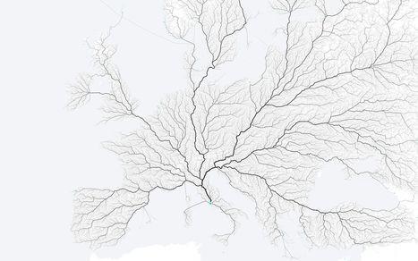 La teoría constructal explica de manera simple la complejidad de las formas que surgen en la naturaleza