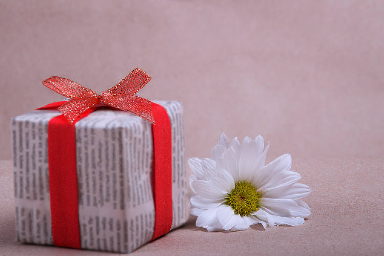 regalo diario regalo diario