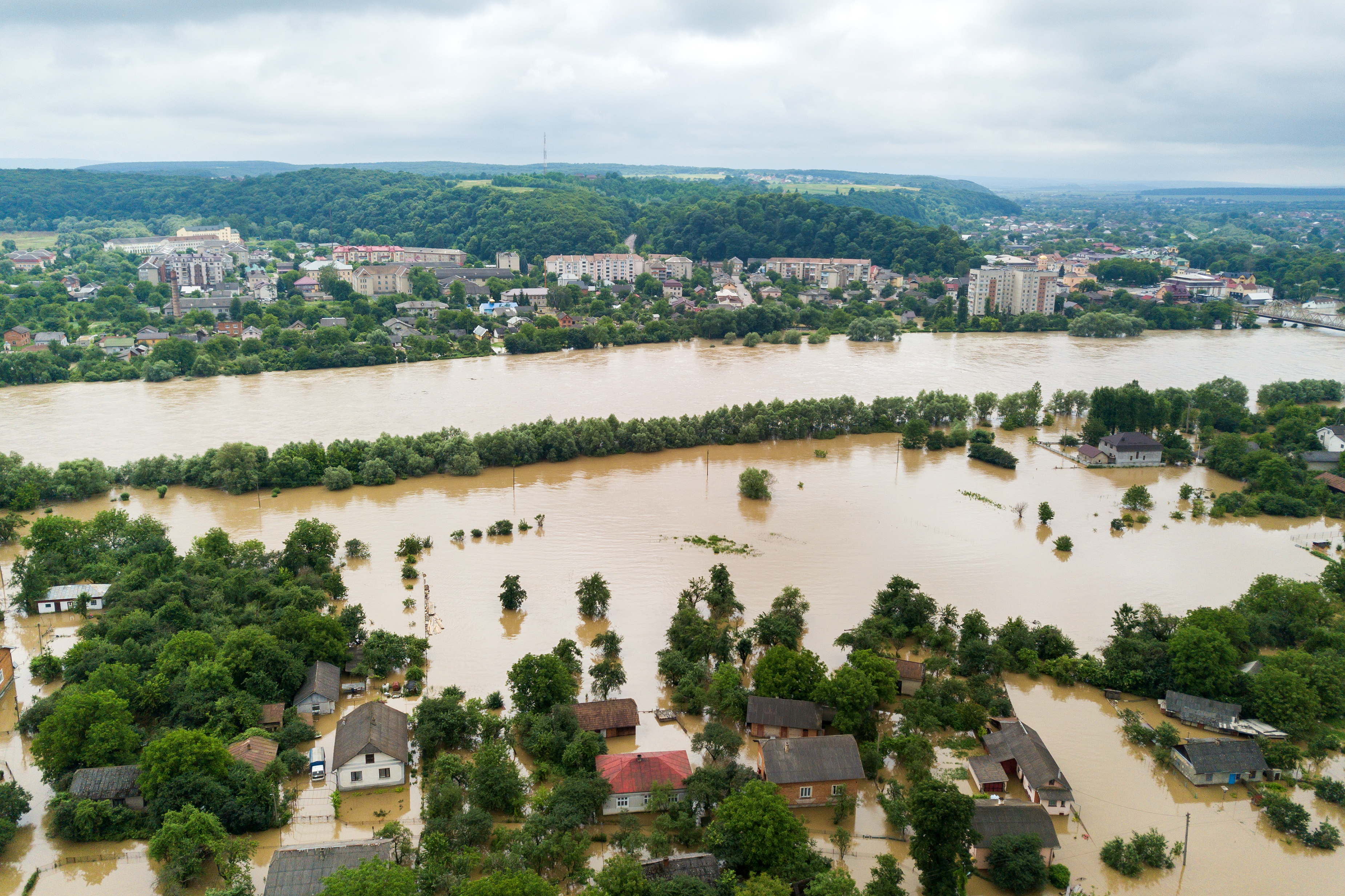 shutterstock_1934726480 shutterstock_1934726480