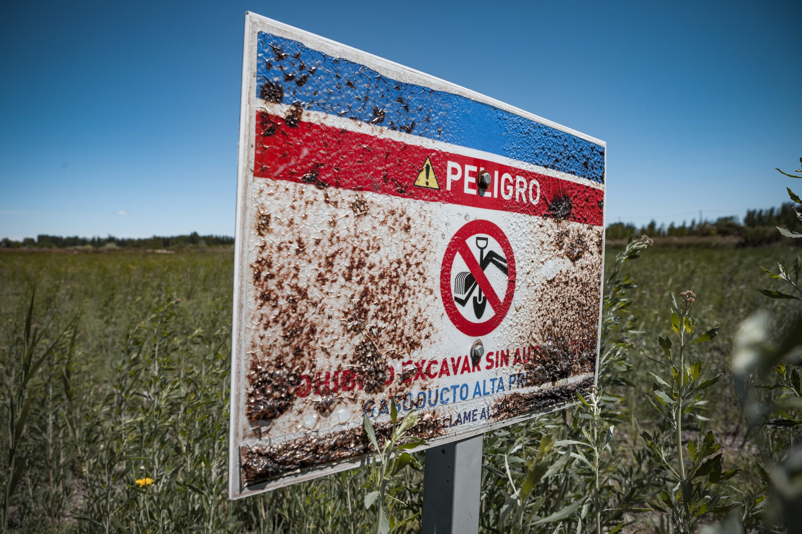 MITO 2_v1 scaled MITO 2_v1 scaled