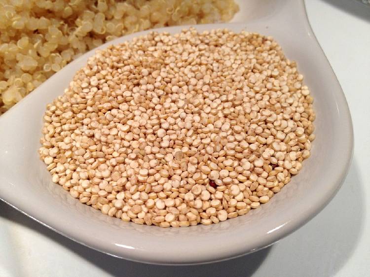 quinoa quinoa