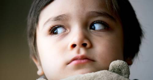 sindrome del emperador niños bullies del hogar sindrome del emperador niños bullies del hogar