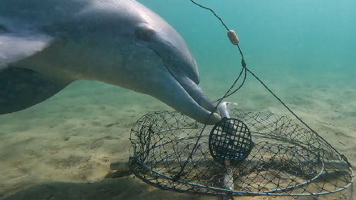 67537887_1004 67537887_1004