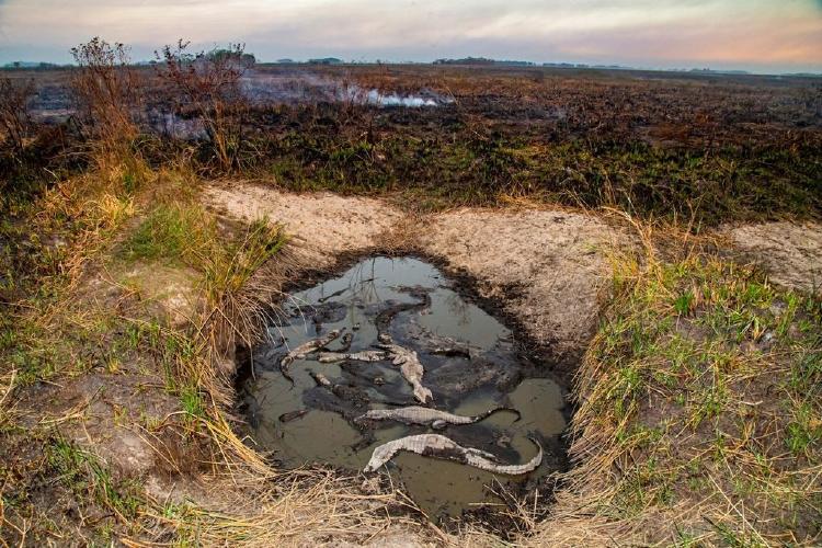 esteros fotos esteros fotos