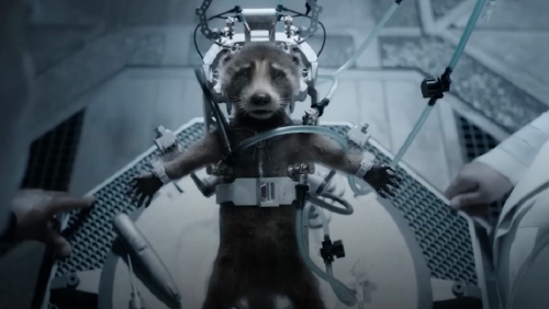 230509173206 guardianes galaxia marvel peta crueldad animal pruebas maltrato perspectivas mexico 00000000 full 169 230509173206 guardianes galaxia marvel peta crueldad animal pruebas maltrato perspectivas mexico 00000000 full 169