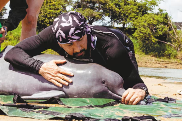 fernando trujillo3 fernando trujillo3