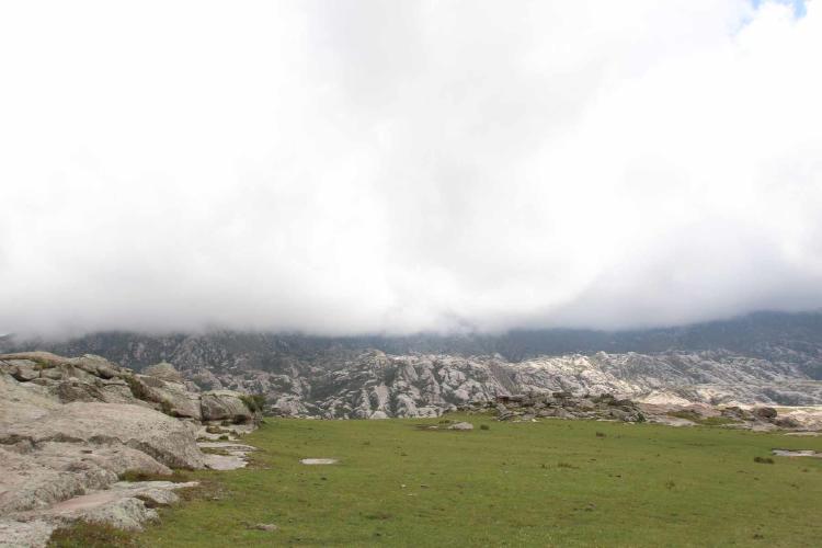 imagen panorámica de bosques de montaña