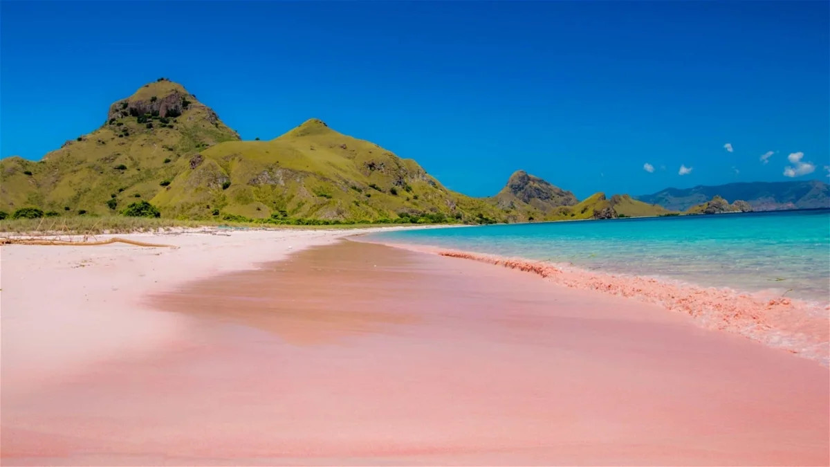 playa rosada australia