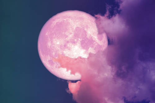 superluna rosa superluna rosa