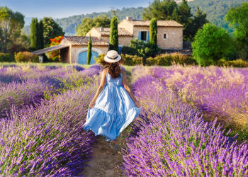 vivir en el campo vivir en el campo