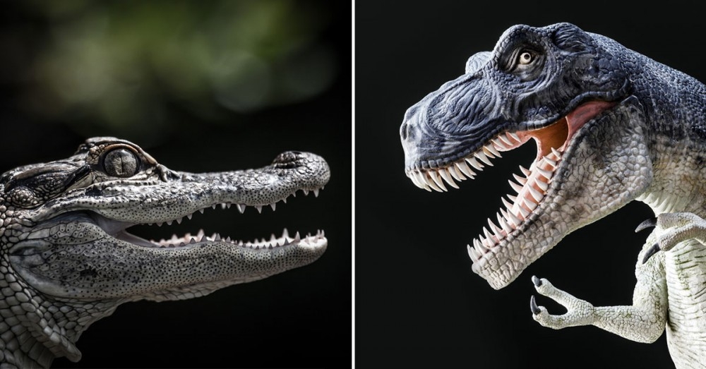 Este eslabón perdido entre el cocodrilo y el dinosaurio tiene alucinados a  los científicos | Bioguia