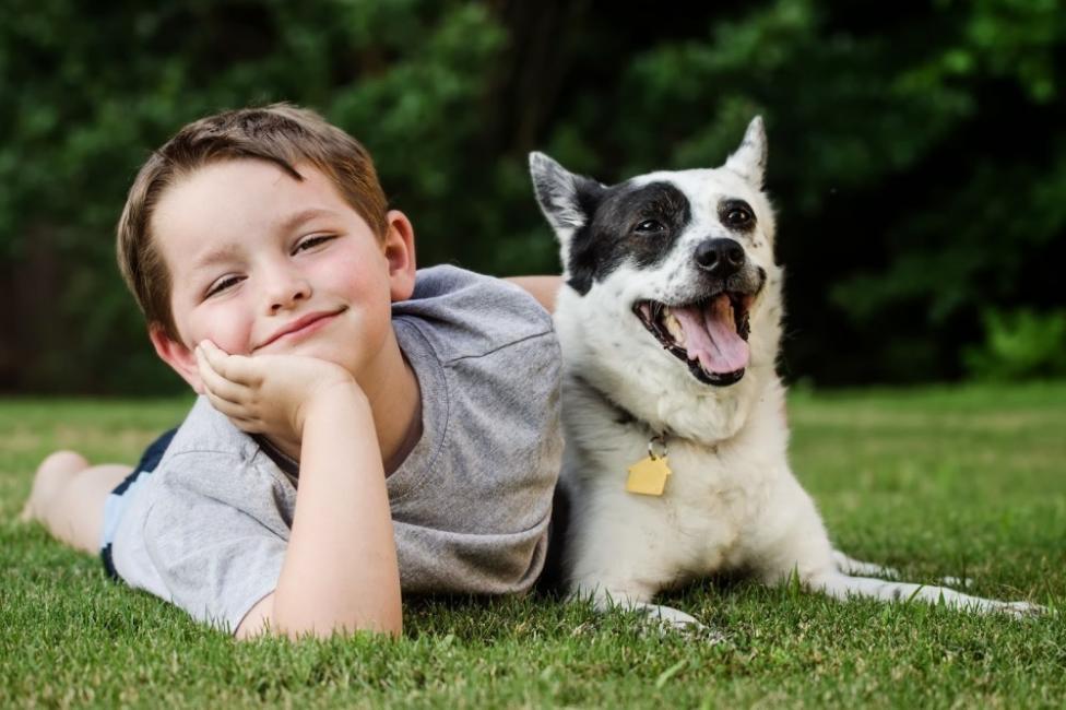 Las personas que poseen una mayor variedad de mascotas en la infancia respaldan más preocupaciones con respecto al uso de animales