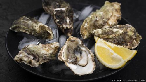 Ostras consumo plueblos originarios Plato con ostras comida