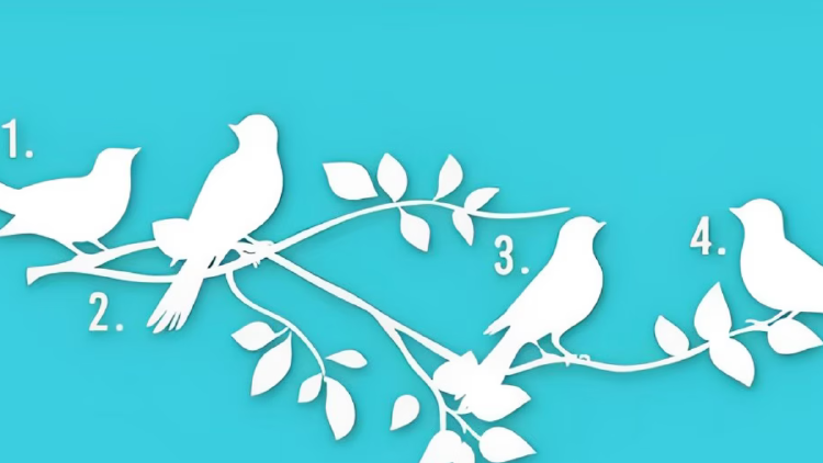pajaros test Fueron miles los usuarios que se animaron a resolver este increíble test de personalidad, que ya es viral en países como México, Colombia, Perú y Estados Unidos. (Foto: Depor)
