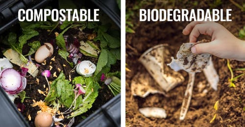 diferencia entre biodegradable y compostable