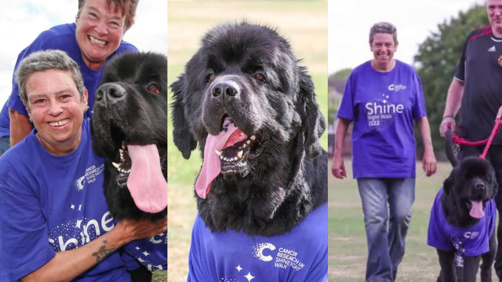 _portada bioguia (42) _portada bioguia (42)