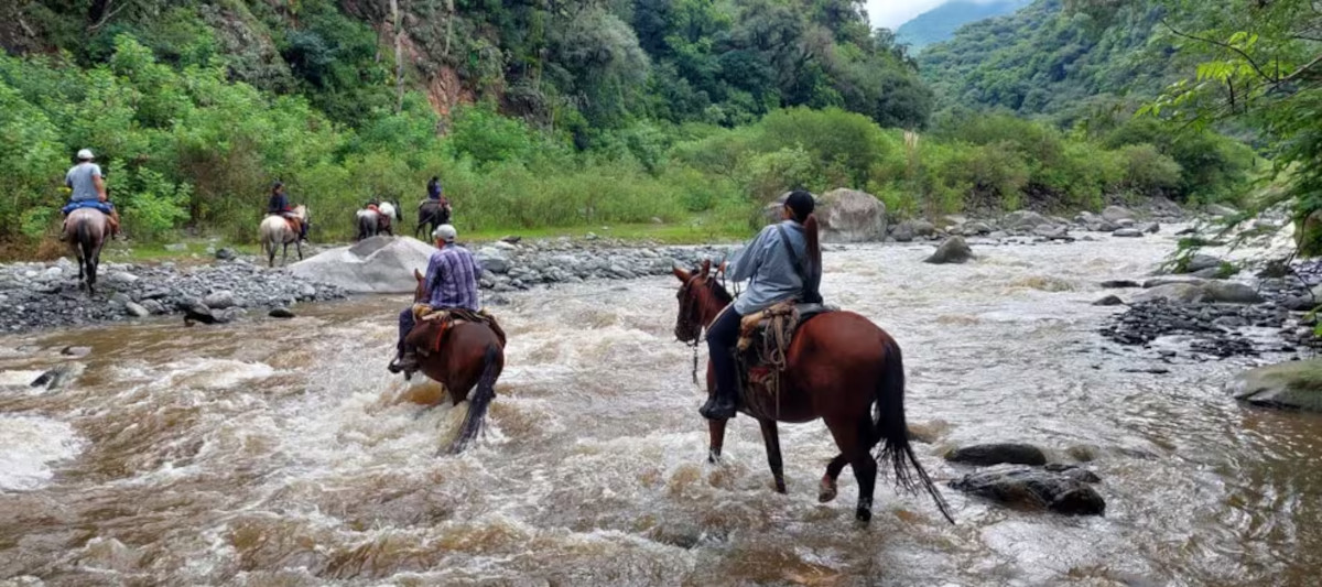 escuela anfama2 escuela anfama2