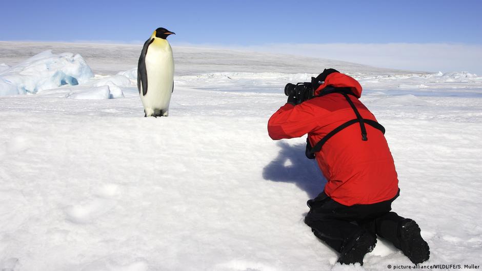 Pingüino emperador “Un tema de interés es el creciente turismo antártico y cómo puede hacerse sostenible”, señala la jefa de la delegación alemana, Dra. Miriam Wolter, sobre la agenda de esta ATCM en Berlín.
