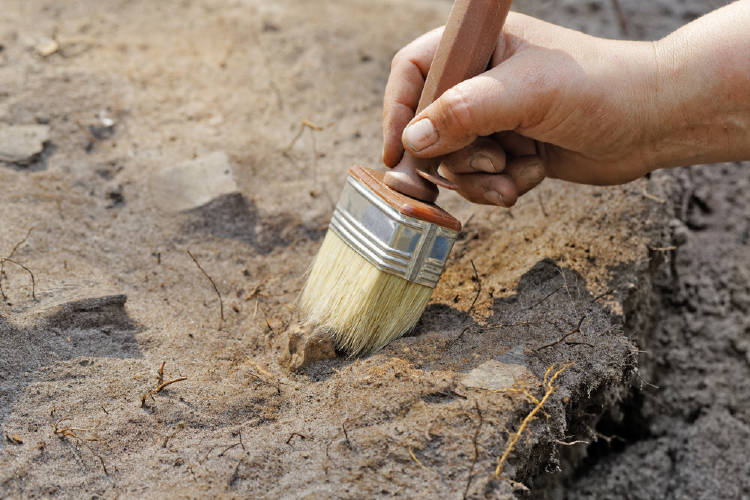 arqueología Un arqueólogo trabajando con un pincel