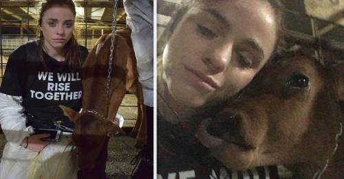 Activista vegana se encadena a un ternero para salvarlo del matadero