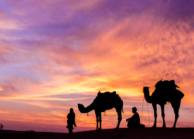 desierto somalia camellos