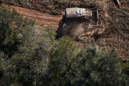 greenpeace greenpeace