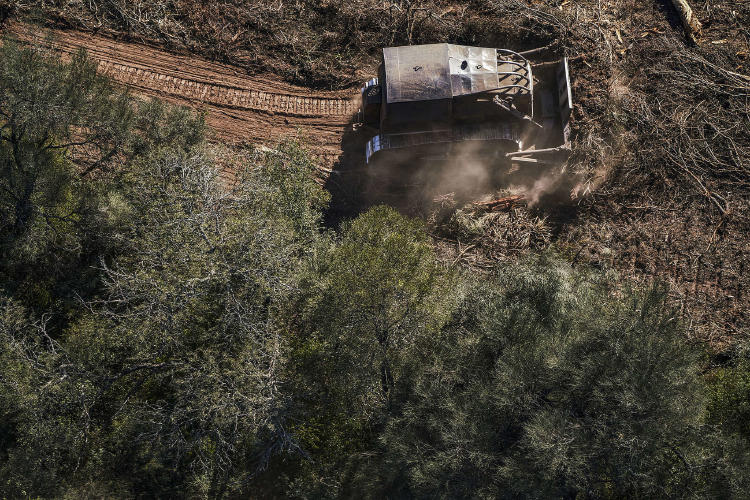 greenpeace greenpeace