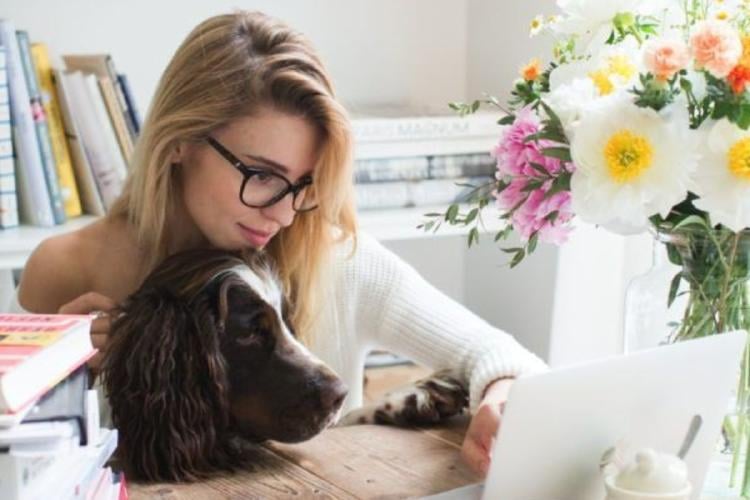 pet friendly Empresas en España impulsan iniciativas pet friendly (Foto: Pinterest)